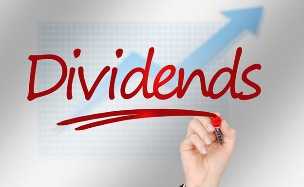 ৯ প্রতিষ্ঠানের ডিভিডেন্ড ঘোষণা