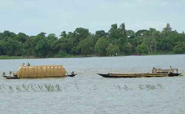 বিলে মাছ ধরতে গিয়ে বিদ্যুৎস্পর্শে চাচা-ভাতিজার মৃত্যু বিলে মাছ ধরতে গিয়ে বিদ্যুৎস্পর্শে চাচা-ভাতিজার মৃত্যু