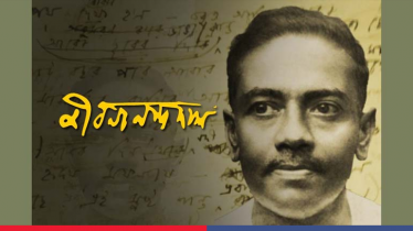 বনলতার কবি, জীবনের ব্যর্থ নাবিক