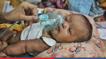 হামের উপসর্গে ২৪ ঘণ্টায় ৩ শিশুর মৃত্যু, মোট প্রাণহানি বেড়ে ১০৮৪ হামের উপসর্গে ২৪ ঘণ্টায় ৩ শিশুর মৃত্যু, মোট প্রাণহানি বেড়ে ১০৮৪