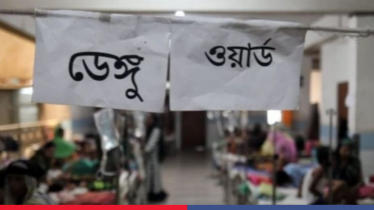 ডেঙ্গুতে ২৪ ঘণ্টায় রেকর্ড ১,৭৫৩ রোগী ভর্তি, মৃত্যু ৭ ডেঙ্গুতে ২৪ ঘণ্টায় রেকর্ড ১,৭৫৩ রোগী ভর্তি, মৃত্যু ৭