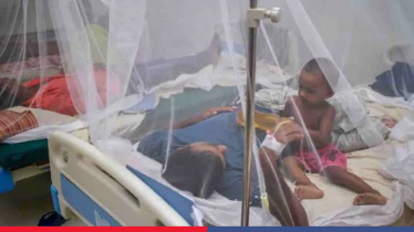 ডেঙ্গুতে ২৪ ঘণ্টায় ৮ মৃত্যু, আক্রান্ত ২ হাজার ৩৬