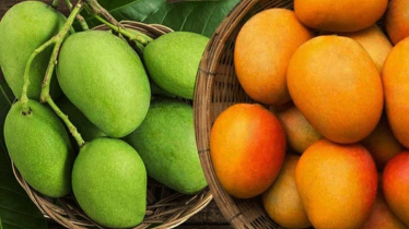 কাঁচা না পাকা, কোন আম বেশি উপকারী 