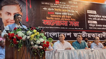আপনারা আমাদের সংস্কারের কলা দেখাচ্ছেন: সালাহউদ্দিন আহমদ