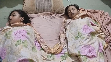 নোয়াখালীতে পুকুরে শামুক কুড়াতে গিয়ে ২ বোনের মৃত্যু