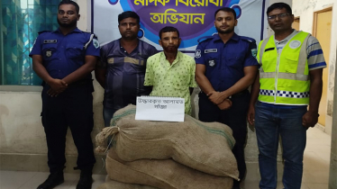 কুড়িগ্রামে দেড় মণ গাঁজাসহ দুই কারবারি গ্রেফতার 