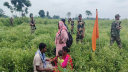 লালমনিরহাট সীমান্ত থেকে ৩৩ জনকে ফিরিয়ে নিল বিএসএফ