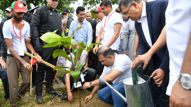 দেশজুড়ে ২৫ কোটি বৃক্ষ রোপণ শুরু