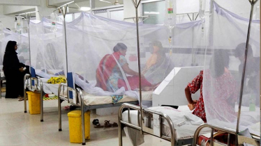 ডেঙ্গু আক্রান্ত হয়ে হাসপাতালে আরও ২৪৪ জন