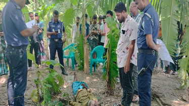 নোয়াখালীতে চালককে হত্যা করে অটোরিকশা ছিনতাই নোয়াখালীতে চালককে হত্যা করে অটোরিকশা ছিনতাই