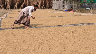 জিআই স্বীকৃতি পেলো ফুলবাড়িয়ার হাতে তৈরি লাল চিনি জিআই স্বীকৃতি পেলো ফুলবাড়িয়ার হাতে তৈরি লাল চিনি