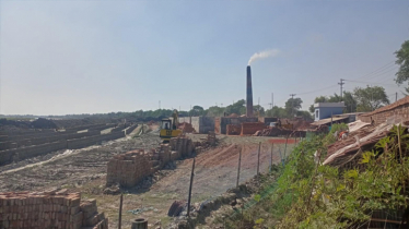 পরিবেশ বিধংসী ইটভাটার রমরমা বাণিজ্য, বেশির মালিক আ.লীগ নেতা