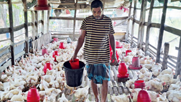 খামার-হ্যাচারির বিদ্যুৎ বিলে ২০ শতাংশ রেয়াতের সিদ্ধান্ত