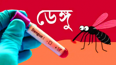 ডেঙ্গুতে একদিনে মৃত্যু ২, হাসপাতালে ৩৯২ জন 