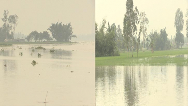 বিপৎসীমায় তিস্তার পানি, লালমনিরহাটে বন্যার আশঙ্কা বিপৎসীমায় তিস্তার পানি, লালমনিরহাটে বন্যার আশঙ্কা