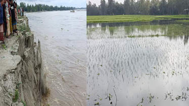 কুড়িগ্রামে কমছে নদ নদীর পানি, নিমজ্জিত ১৮শ হেক্টর জমির ফসল 
