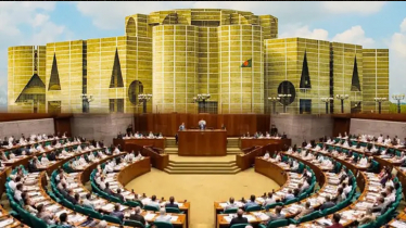 ছায়া মন্ত্রিসভার কাজ কী ছায়া মন্ত্রিসভার কাজ কী