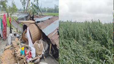 লালমনিরহাটে ঝড় ও শিলাবৃষ্টিতে অসংখ্য গ্রাম লন্ডভন্ড লালমনিরহাটে ঝড় ও শিলাবৃষ্টিতে অসংখ্য গ্রাম লন্ডভন্ড