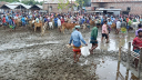 কাঁদা পানিতে গরুর হাট, চর্মরোগে আক্রান্ত হচ্ছে ক্রেতা-বিক্রেতা