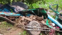 গাজীপুরে সিএনজি-কাভার্ডভ্যানের মুখোমুখি সংঘর্ষে নিহত ৩