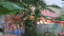 পাবনায় ধর্ষণ-হত্যা মামলার আসামিদের বাড়িতে আগুন, দগ্ধ হয়ে নিহত ৩
