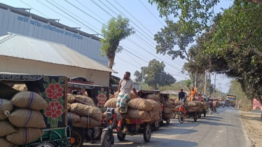 হিমাগারে সংরক্ষণ করা আলু নিয়ে বিপাকে কৃষক ও ব্যবসায়ীরা