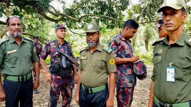 সীমান্তে নজরদারি বাড়াতে ১১ জেলায় আনসার-ভিডিপি সদস্য মোতায়েন সীমান্তে নজরদারি বাড়াতে ১১ জেলায় আনসার-ভিডিপি সদস্য মোতায়েন