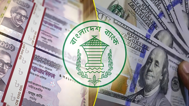 জুলাইয়ে রেমিট্যান্সে এসেছে ২৪৮ কোটি ডলার