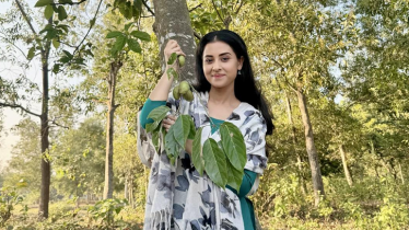 জলপাইয়ের সঙ্গে মিশে গেছে বুবলীর সৌন্দর্য জলপাইয়ের সঙ্গে মিশে গেছে বুবলীর সৌন্দর্য