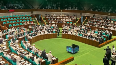 পাকিস্তানি বাহিনীর সহযোগী তালিকায় জামায়াতের নাম বহাল, সংসদে বিল পাস