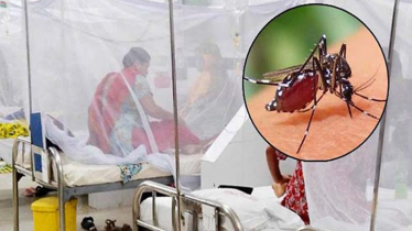 গত ২৪ ঘণ্টায় ডেঙ্গুতে ২ জনের মৃত্যু, ৩৯৬ জন ভর্তি