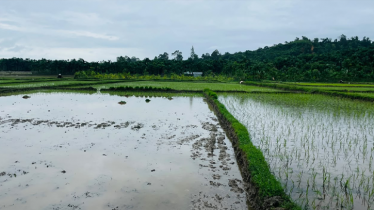 টেকনাফে ১৪৪ ধারা অমান্য করে জমি দখলের চেষ্টা টেকনাফে ১৪৪ ধারা অমান্য করে জমি দখলের চেষ্টা