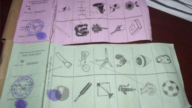 স্থানীয় সরকার নির্বাচনে দলীয় প্রতীক থাকছে না, অধ্যাদেশ জারি