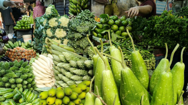 রাজধানীতে কমলো মুরগির দাম, বেড়েছে মাছের দাম