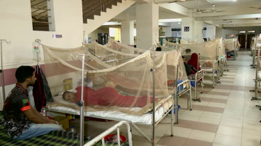 ডেঙ্গুতে এক দিনে ৬ জনের মৃত্যু, হাসপাতালে ভর্তি ১১৯৫ ডেঙ্গুতে এক দিনে ৬ জনের মৃত্যু, হাসপাতালে ভর্তি ১১৯৫