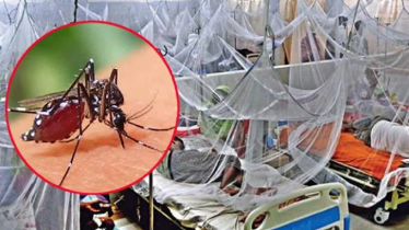 ২৪ ঘণ্টায় ডেঙ্গুতে আক্রান্ত আরও ১৩৮ জন