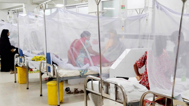 দেশে ডেঙ্গুতে ২৪ ঘণ্টায় ৮ জনের মৃত্যু