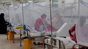 ২৪ ঘণ্টায় ডেঙ্গুতে মৃত্যু ৫, হাসপাতালে ভর্তি ৮৪১