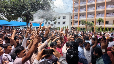 ৩৮২ জনের সবাই জিপিএ-৫, নরসিংদীর নাছিমা কাদির মোল্লা স্কুলে অনন্য সাফল্য