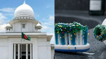 ২৬ টুথপেস্টে মাইক্রোপ্লাস্টিক, তদন্তে বিশেষজ্ঞ কমিটি গঠনের নির্দেশ