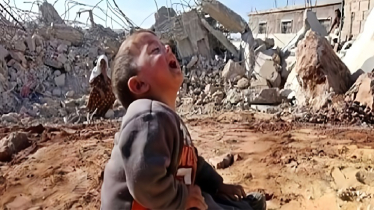 ট্রাম্পের শান্তি প্রস্তাবের পরও গাজায় ইসরায়েলি হামলায় নিহত ৭০ ট্রাম্পের শান্তি প্রস্তাবের পরও গাজায় ইসরায়েলি হামলায় নিহত ৭০