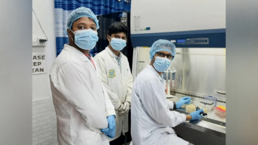 পোলট্রিতে নতুন আতঙ্ক ‘চিকেন অ্যানিমিয়া ভাইরাস’