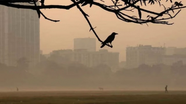 তীব্র শৈত্যপ্রবাহের কবলে দেশ, তাপমাত্রা নামবে ৬ ডিগ্রিতে