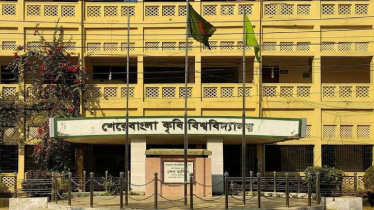 শেবাকৃবিতে শিক্ষার্থী মারধর: অভিযুক্তদের শাস্তির দাবি
