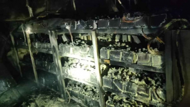 ধামরাইয়ে ইনসেপ্টা ফার্মার কারখানায় আগুন, আহত ১০