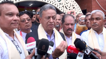 ফেব্রুয়ারি মাসেই দেশের গণতন্ত্র পুনঃপ্রবর্তন: আমীর খসরু