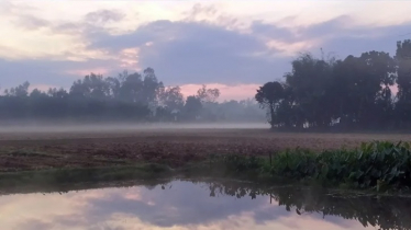 ঘন কুয়াশা ও হিমেল বাতাসে কুড়িগ্রামের তাপমাত্রা ১২ ডিগ্রি সেলসিয়াস
