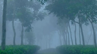 পঞ্চগড়, শ্রীমঙ্গল ও ঢাকায় বাড়ছে শীতের তীব্রতা