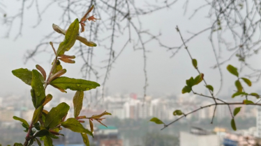 রাজধানীতে বছরের প্রথম বৃষ্টি, স্বস্তির আভাস রাজধানীতে বছরের প্রথম বৃষ্টি, স্বস্তির আভাস