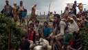 আরাকান আর্মির বিরুদ্ধে রোহিঙ্গা বিদ্রোহের সঙ্কেত